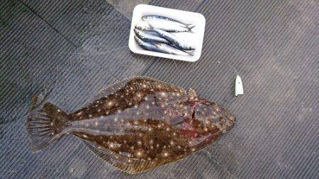 小樽港遊漁船SHAKE 釣果