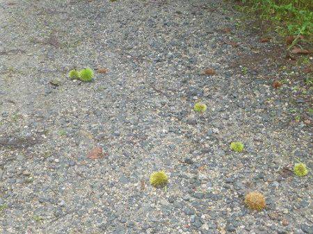 平谷湖フィッシングスポット 釣果