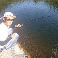 平谷湖フィッシングスポット 釣果