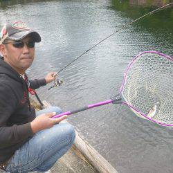 平谷湖フィッシングスポット 釣果