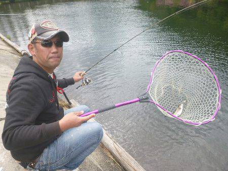 平谷湖フィッシングスポット 釣果