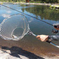 平谷湖フィッシングスポット 釣果
