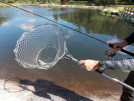 平谷湖フィッシングスポット 釣果