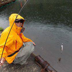 平谷湖フィッシングスポット 釣果