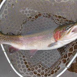 平谷湖フィッシングスポット 釣果