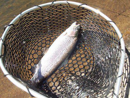 平谷湖フィッシングスポット 釣果