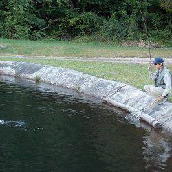 平谷湖フィッシングスポット 釣果