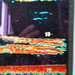 金沢八景鴨下丸 釣果