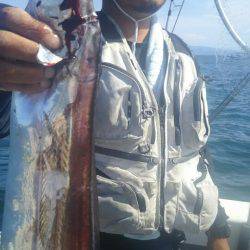 サンマリン 釣果