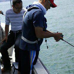 タイラバ遊漁船 ワンピース 釣果