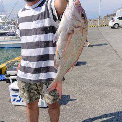 だて丸 釣果