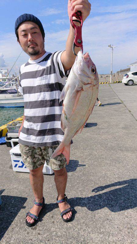 だて丸 釣果