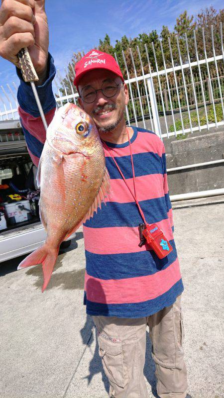 だて丸 釣果