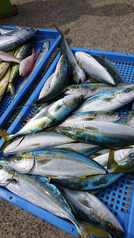 第三共栄丸 釣果