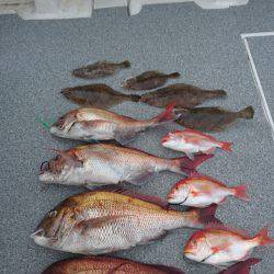 ARCADIAⅡ (アルカディアⅡ) 釣果