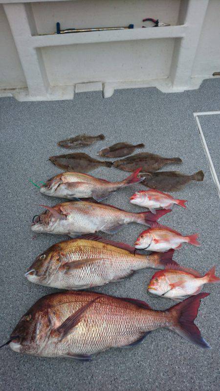 ARCADIAⅡ (アルカディアⅡ) 釣果