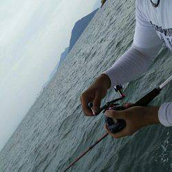 タイラバ遊漁船 ワンピース 釣果