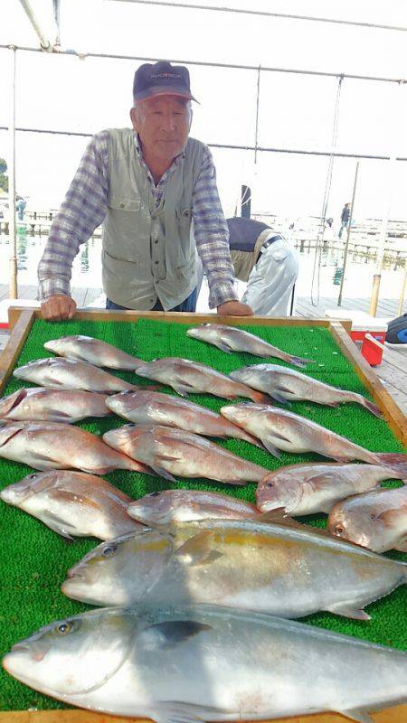 海の釣堀 海恵 釣果