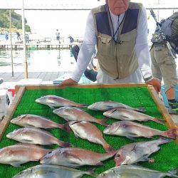 海の釣堀 海恵 釣果
