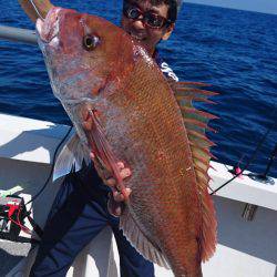 ARCADIAⅡ （アルカディアⅡ） 釣果