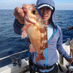 ARCADIAⅡ （アルカディアⅡ） 釣果