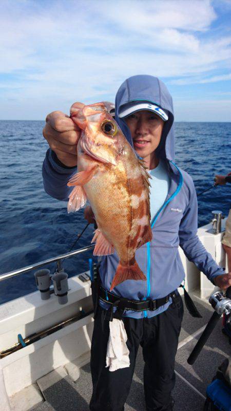 ARCADIAⅡ （アルカディアⅡ） 釣果