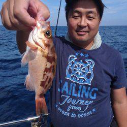 ARCADIAⅡ （アルカディアⅡ） 釣果