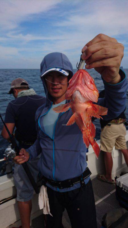 ARCADIAⅡ （アルカディアⅡ） 釣果