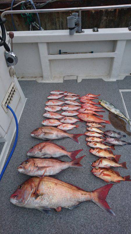 ARCADIAⅡ （アルカディアⅡ） 釣果