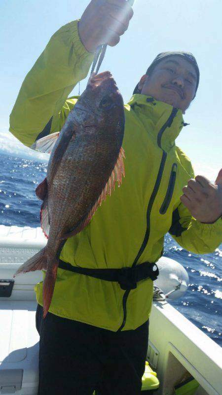 ブルドック 釣果