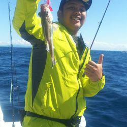 ブルドック 釣果