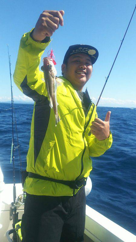 ブルドック 釣果