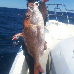 ブルドック 釣果