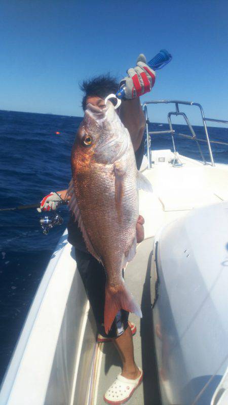 ブルドック 釣果