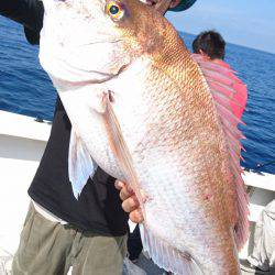 ARCADIAⅡ （アルカディアⅡ） 釣果