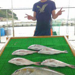 海の釣堀 海恵 釣果