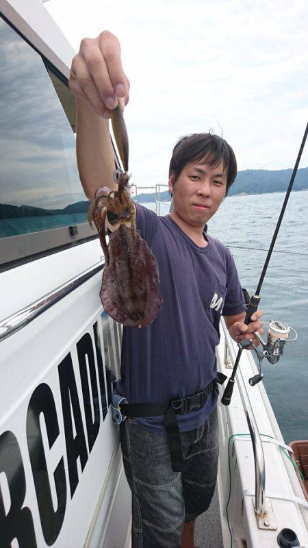 ARCADIAⅡ (アルカディアⅡ) 釣果