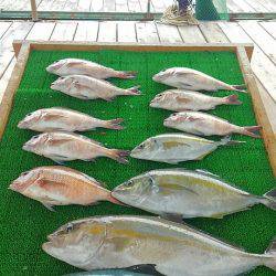 海の釣堀 海恵 釣果