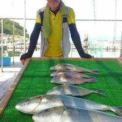 海の釣堀 海恵 釣果