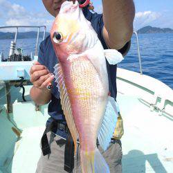 あみや渡船 JIGBOY 釣果