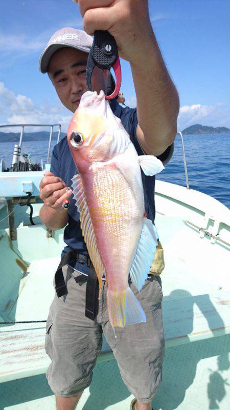 あみや渡船 JIGBOY 釣果