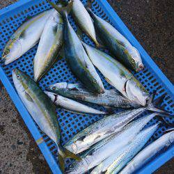 第三共栄丸 釣果