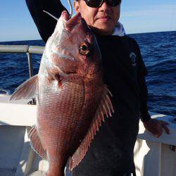 ARCADIAⅡ (アルカディアⅡ) 釣果