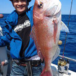 ARCADIAⅡ (アルカディアⅡ) 釣果