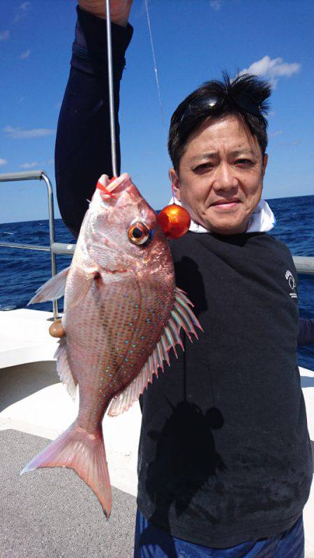 ARCADIAⅡ (アルカディアⅡ) 釣果