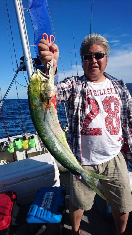 ARCADIAⅡ (アルカディアⅡ) 釣果