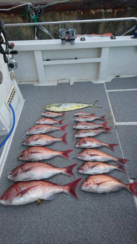 ARCADIAⅡ (アルカディアⅡ) 釣果