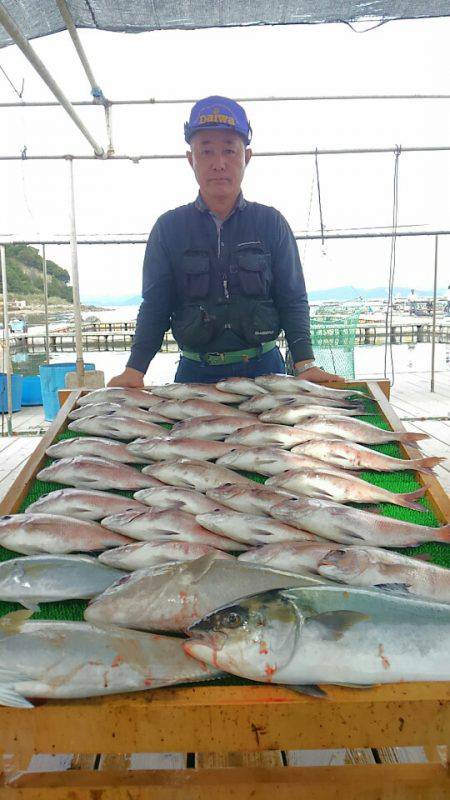 海の釣堀 海恵 釣果