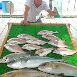 海の釣堀 海恵 釣果