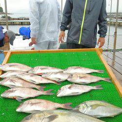 海の釣堀 海恵 釣果